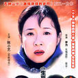 母親(2004年陳小藝主演電視劇)