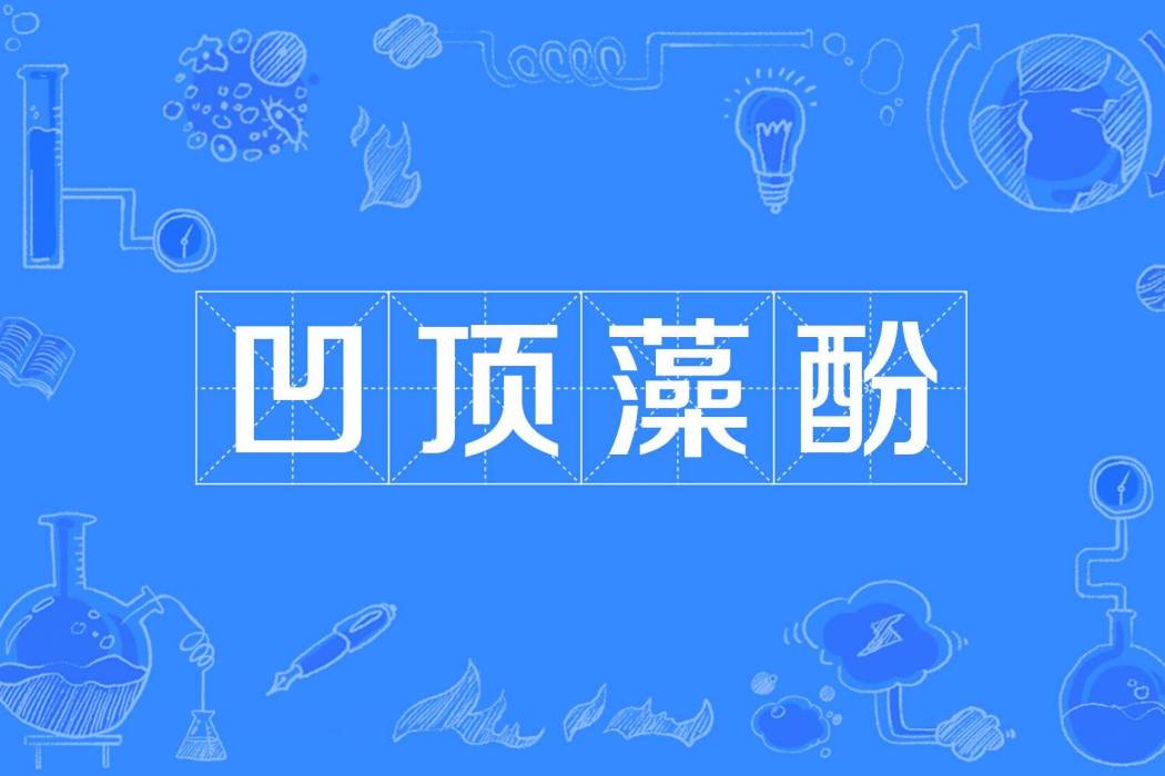 凹頂藻酚 凹頂藻酚