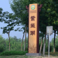 紫薇湖 紫薇湖