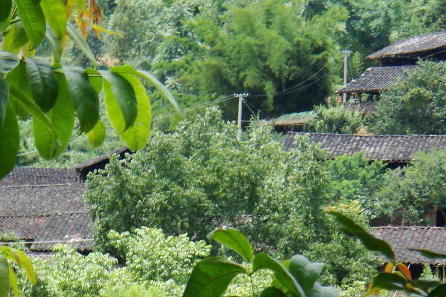 四邊箐村 四邊箐村