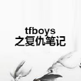 tfboys之復仇筆記 tfboys之復仇筆記