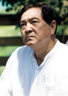 痞子英雄(2009年周渝民、趙又廷主演電視劇)