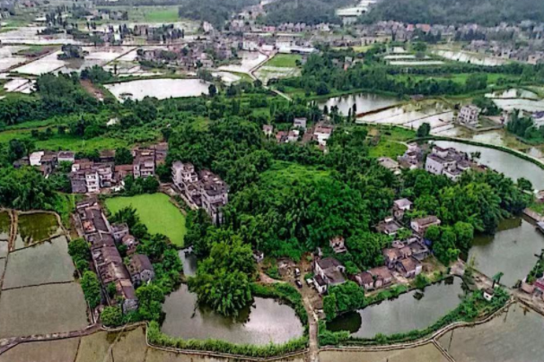 大同村(廣東省江門市開平市赤坎鎮塘美行政村下轄自然村)
