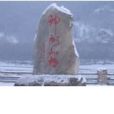 心疼你(卞維官創作的小說)