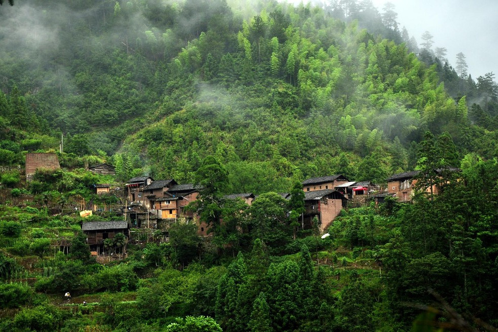 岩後村(浙江省慶元縣竹口鎮岩後村) 岩後村(浙江省慶元縣竹口鎮岩後村)