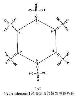 Anderson（1914年）提出的植酸磷結構圖