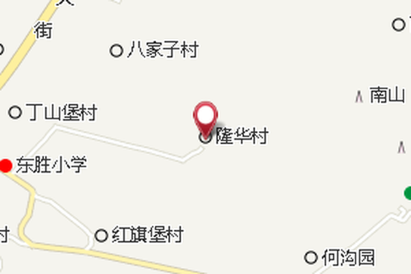 隆華大隊 隆華大隊