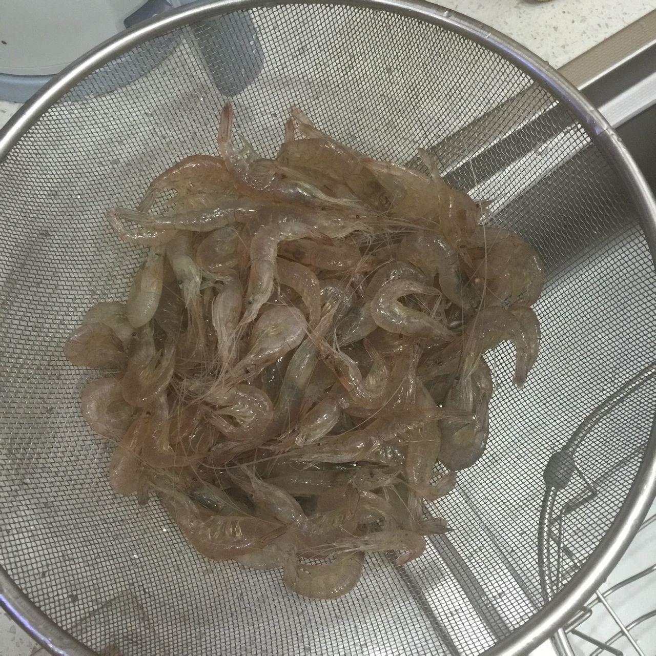 美級白米蝦