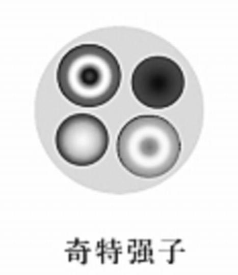 奇特強子 奇特強子
