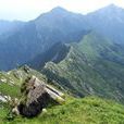 摩天嶺(甘肅南部與四川北部交界處的一座山名) 摩天嶺(甘肅南部與四川北部交界處的一座山名)