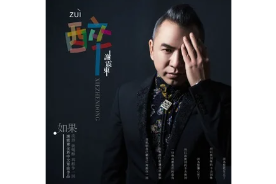 醉(謝震東演唱歌曲) 醉(謝震東演唱歌曲)
