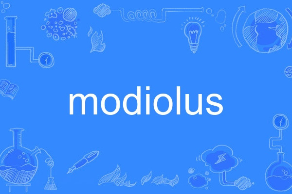 modiolus modiolus