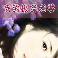 極品老婆 極品老婆