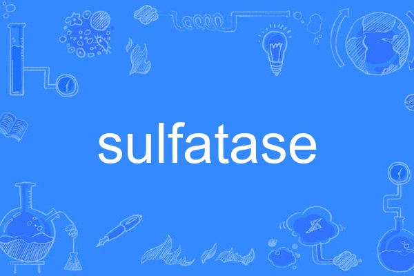 sulfatase sulfatase