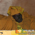 果峰和尚 果峰和尚