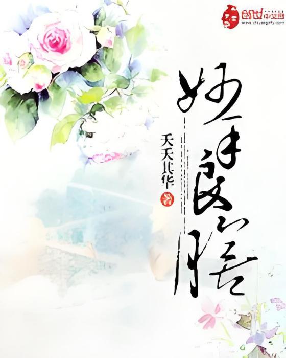 妙手良膳 妙手良膳