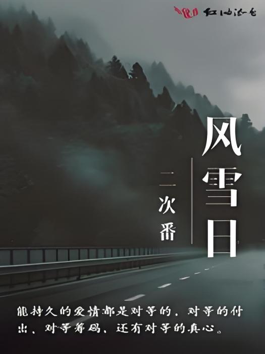 風雪日 風雪日
