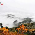 秦嶺雲橫 秦嶺雲橫