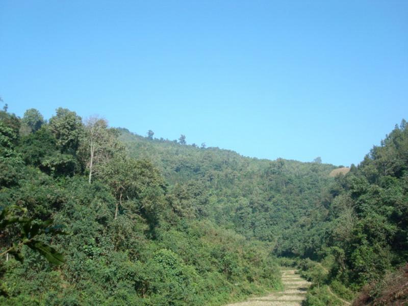 同應村 同應村