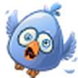 鳥類BuzzzBirds 鳥類BuzzzBirds